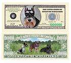 Miniature Schnauzer Puppy Dog One Million Dollar Bill
