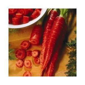  Carrot Atomic Red Seeds 700 Seeds Patio, Lawn & Garden