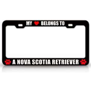  TO A NOVA SCOTIA RETRIEVER Dog Pet Steel Metal Auto License Plate 