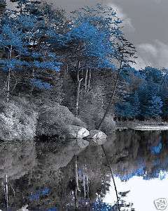 Black & White Blue Trees Lake Home Decor Wall Art Matted Picture 