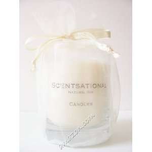    Scentsational Spring Clean Fragrance Soy Candle