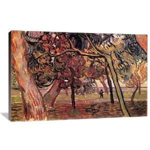  Study of Pine Trees   Gallery Wrapped Canvas   Museum Quality  Size 