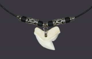 Large Adult Tiger Shark Tooth Necklace   Hawaii Amulet  