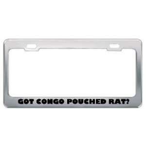 Got Congo Pouched Rat? Animals Pets Metal License Plate Frame Holder 