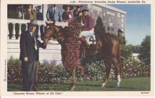 WHIRLAWAY THOROUGHBRED RACE HORSE POSTCARD 1941 TRIPLE CROWN WINNER 