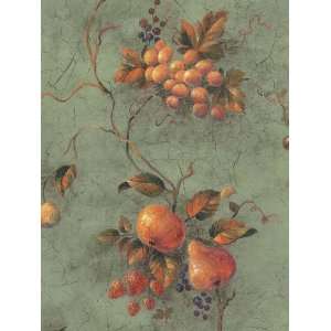 Fruit Vines Wallpaper in Newton Square (Double Roll)