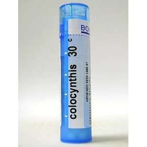  Colocynthis 30C 80 plts