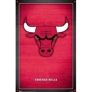  Chicago Bulls Logo Poster