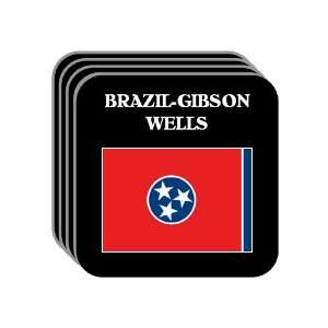  US State Flag   BRAZIL GIBSON WELLS, Tennessee (TN) Set of 