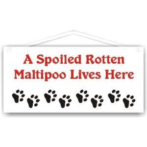  A Spoiled Rotten Maltipoo Lives Here 