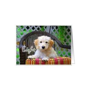    Happy Birthday to Eight  Golden Doodle Puppy Card Toys & Games