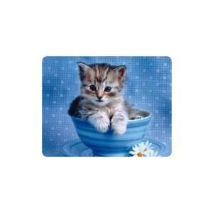  Brand New Kitten Mouse Pad Tea Cup 