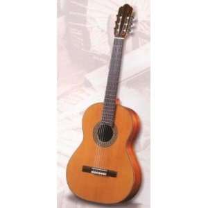  Antonio Sanchez 3000 Spanish Classical Guitar Musical 