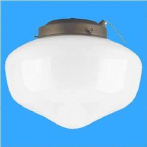  Indoor/Outdoor Schoolhouse Glass Ceiling Fan Light Kit in 