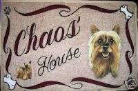 SILKY TERRIER,dog mat,personalized,dog breeds,pets,akc  