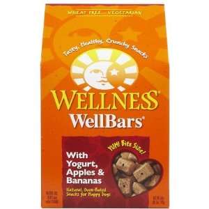  WellBars Apples, Bananas & Yogurt   50 oz (Quantity of 2 