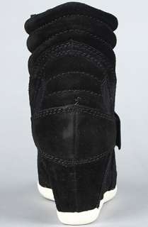 Ash Shoes The Biba Sneaker in Black Calf Suede  Karmaloop 
