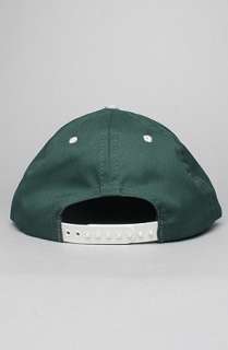 RockSmith The Team Wu Snapback Cap in Green  Karmaloop   Global 