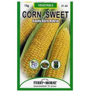 Ferry Morse 5 Gram Sweet Corn Kandy Korn Hybrid Seed 1953 at The Home 