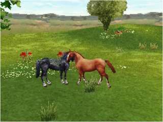 Horse Life 2 Freunde für immer Nintendo DS  Games