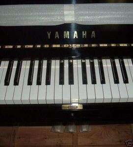 Yamaha C3 6 Foot One inch Conservatory Level Grand Piano  