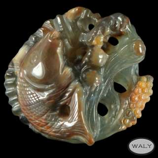 Carved Mexican Agate Sealife Pendant Bead  