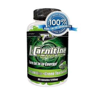 Best Carnitine Green Tea for 2010 Mobilizes energy from fat stock 