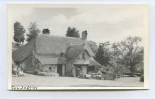 SELWORTHY   thatched cottage / tea roon   old postcard  