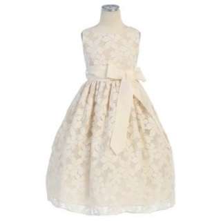   Embroider Lace Flower Toddler Girl Dress 2T 12  Clothing