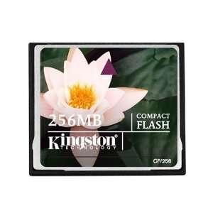   Kingston 256 MB CompactFlash Card and Adapter (CF/256ADP) Electronics