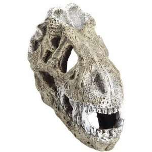 Exotic Environments T Rex Skull Aquarium Ornament   Small (Quantity of 