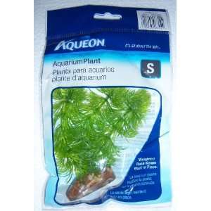  Aqueon 09682 Parsley Aquarium Plant, 5 Inch