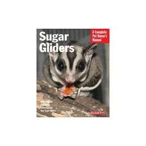  Top Quality Sugar Gliders (rev)