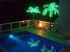 Bottle Palm Tree   LED Lighted New items in MyOutdoorConnection 