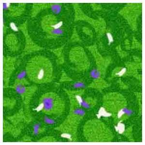    ArtScape 8 Green Confetti Pool Table Cloth