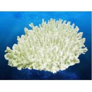 Deep Blue Pro Coral Replica Table Coral 13.5X5X10 Inches 