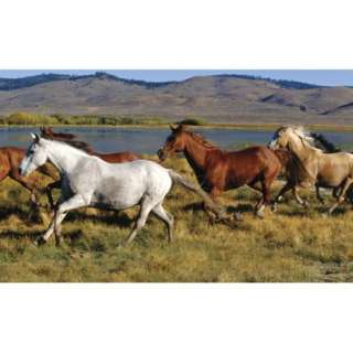 Horses Wall Mural   83x138.Opens in a new window