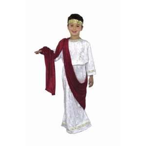   Costume   Works for Toga and Mark Anthony Costume too Toys & Games