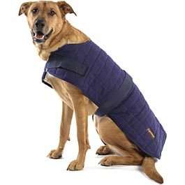 Eco Friendly Quilted Cotton All NAtural Dog Coat JEFFERS PET  