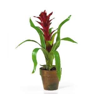  Potted Star Bromeliad Silk Flower Arrangement