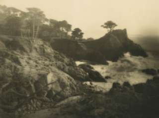   LEOPOLD HUGO PICTORIALIST LONE CYPRESS TREE PHOTOGRAPH 20S  