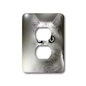   Cats   Chat de gouttiere   Light Switch Covers   2 plug outlet cover