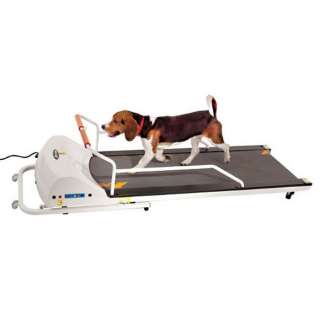 PET RUN PROFESSIONAL DOG TREADMILL by GO PET upto132lb  