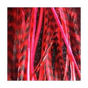  Feather Angel Red Feather Hair Extensions (4 Pack) Beauty