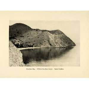  1906 Print Descanso Bay White Sea Bass Fish Santa Catalina 