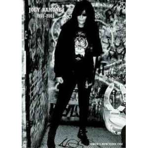 Joey Ramone Poster Print, 24x34