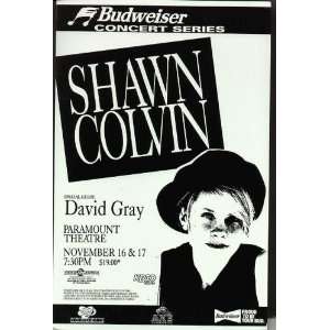 David Gray Shawn Colvin Original Concert Poster 1995 