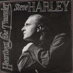   LIKE THUNDER 7 INCH (7 VINYL 45) UK RAK 1986 STEVE HARLEY Music