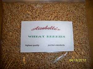   Quality Puritan Standard Wheat Berries.~ CAT Wheat Grass SEEDS~  