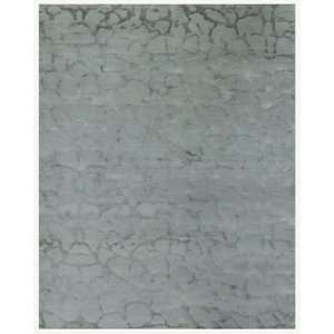   Natura 44529 Gray Pond 5 6 x 8 6 Area Rug